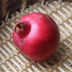 Variété de grenade - Acco