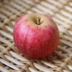 Variété ancienne de pommier - Pomme de garde - Belle Fille de la Creuse