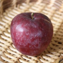 Variété ancienne de pommier - Pomme d'automne et d'hiver - Macoun